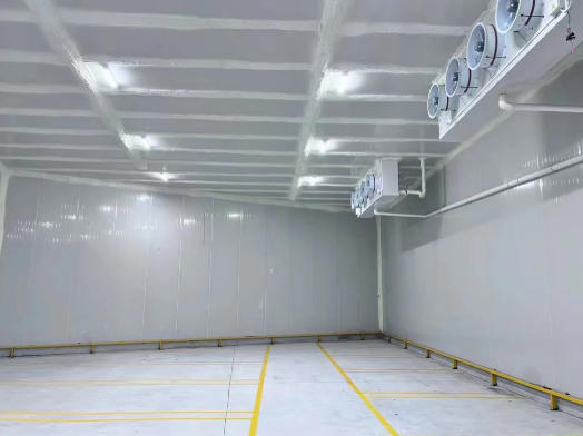 冷冻库 - 海鲜肉类长期存储