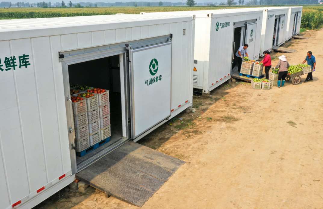 集装箱式气调库