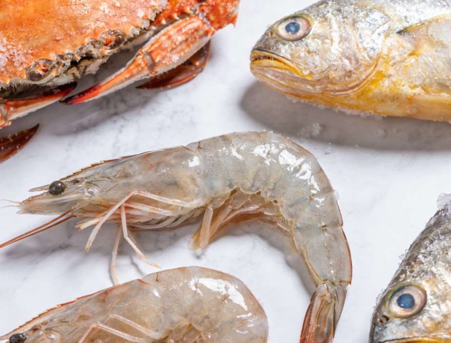 海鲜专用冷冻库