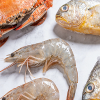 海鲜专用冷冻库